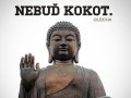 nebuďkokot.jpg
